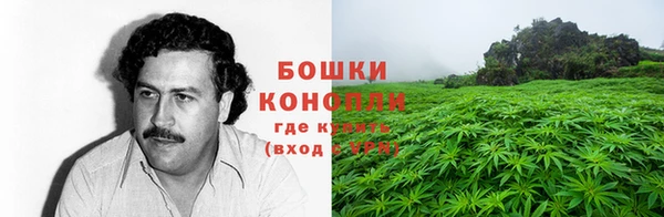 прущие грибы Балабаново