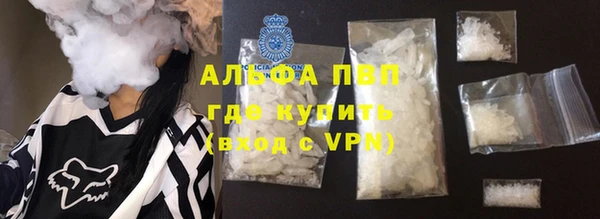 прущие грибы Балабаново