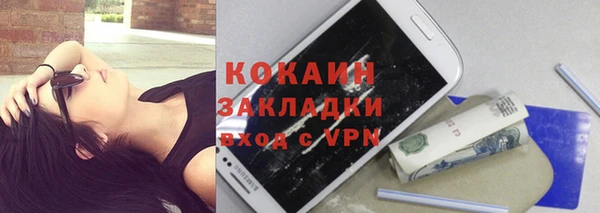прущие грибы Балабаново