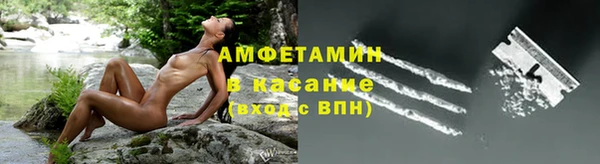 индика Баксан