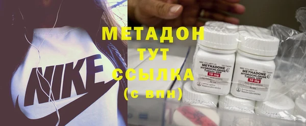 прущие грибы Балабаново