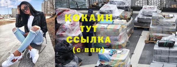 прущие грибы Балабаново