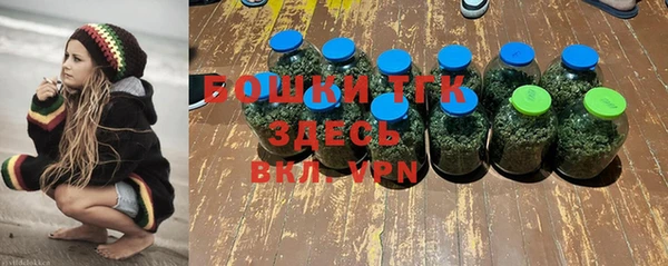 прущие грибы Балабаново
