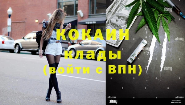 индика Баксан