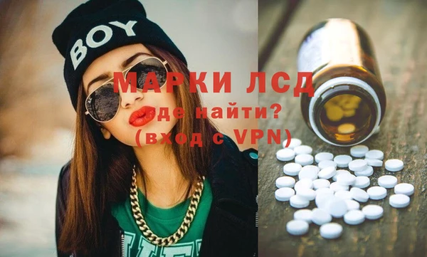 индика Баксан