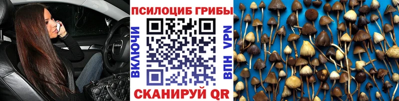 Галлюциногенные грибы ЛСД  Шагонар 